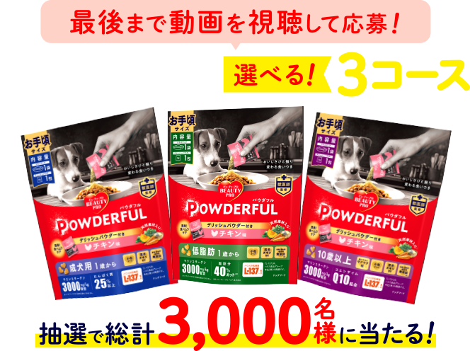 最後まで動画を視聴して応募！国産ドッグフードが選べる！3コース 抽選で総計3,000名様に当たる！